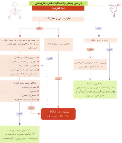 توضیحات برای عکس ثبت نشده